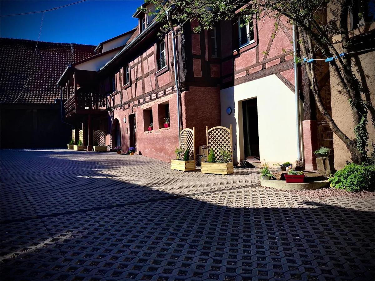 דירות בבלנהיים Doux Refuge Avec Terrasse Parking Gratuit מראה חיצוני תמונה